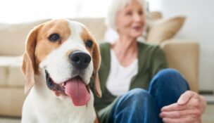 Woman sitting on floor with dog